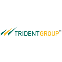 Trident logo