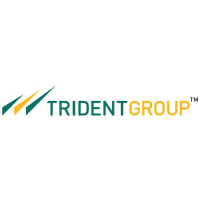 Trident logo
