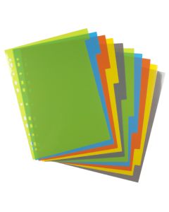 SPS 110 File Separators Plastic, (Set of 10 Sheet)