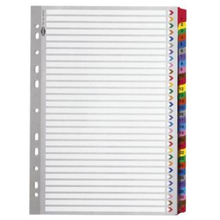 File Separator, Plastic (1 To 31)
