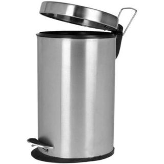 Stainless Steel Pedal Dust Bin, 10x14